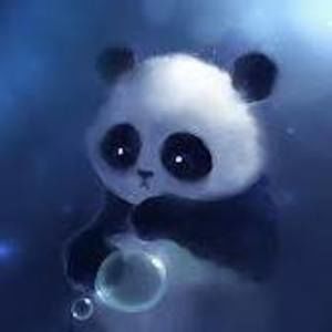 Meet your Posher, Audrey